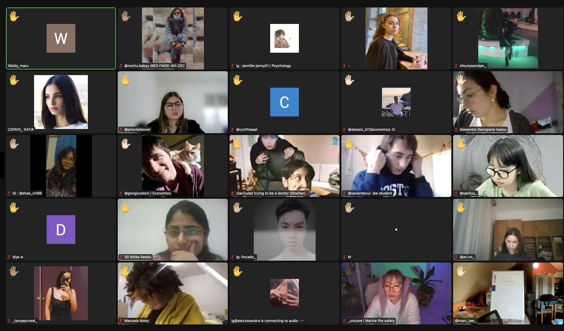 The original Zoom room grid of students